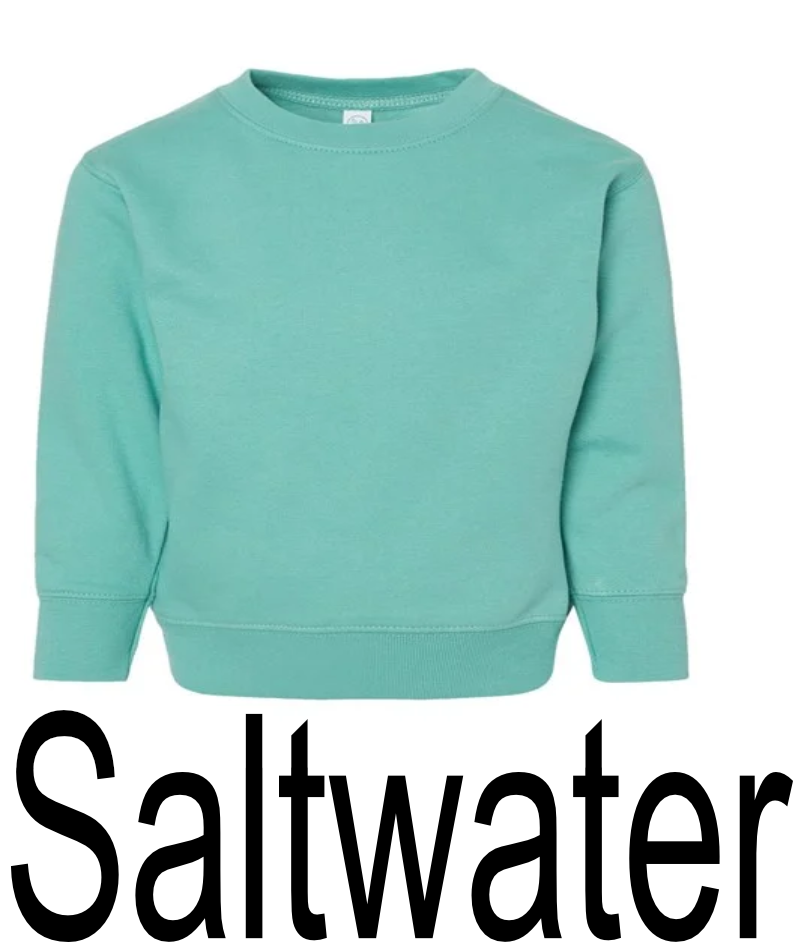 Kid's AHP Unisex Graphic Sweatshirts