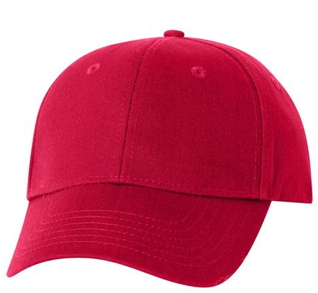 APL Graphic Adjustable Structured Cap